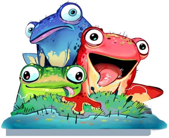 Doos van Froggos